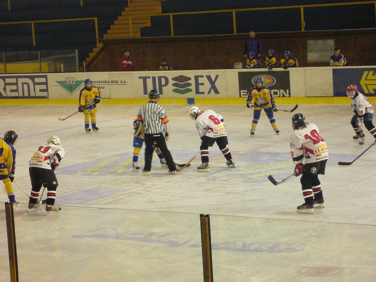 vlasy
